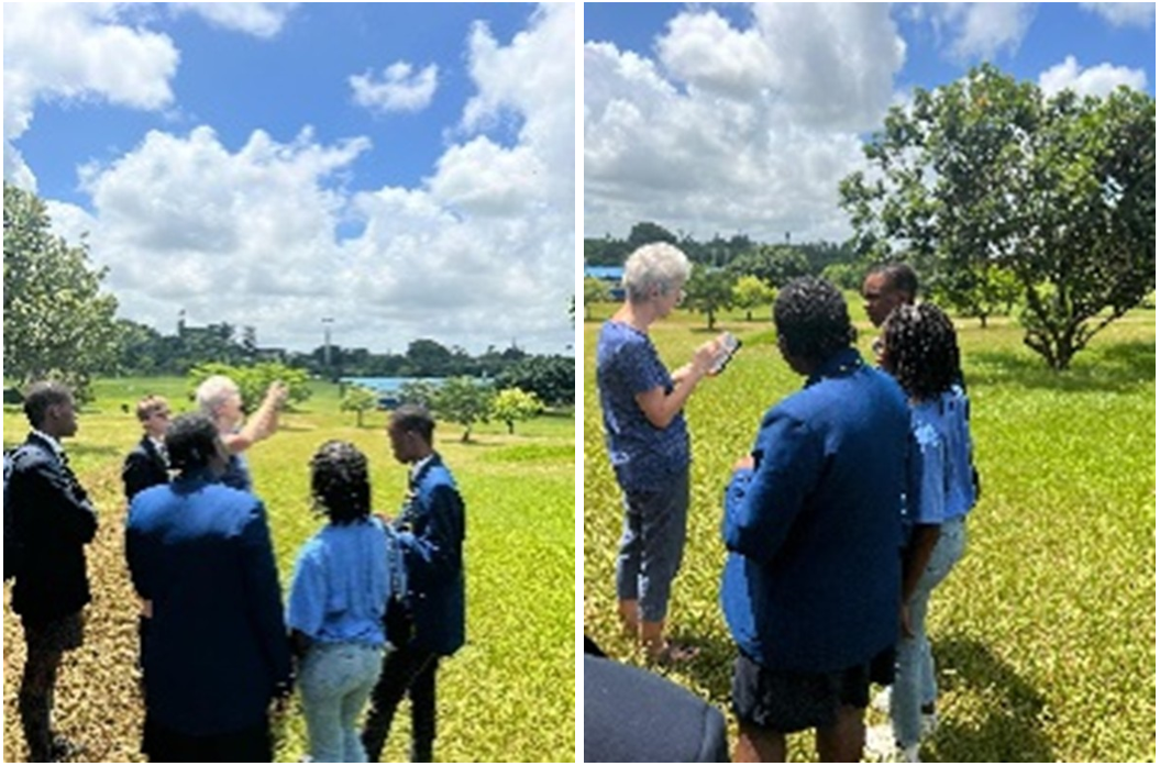 Person taking photo of the sky and trees with students.