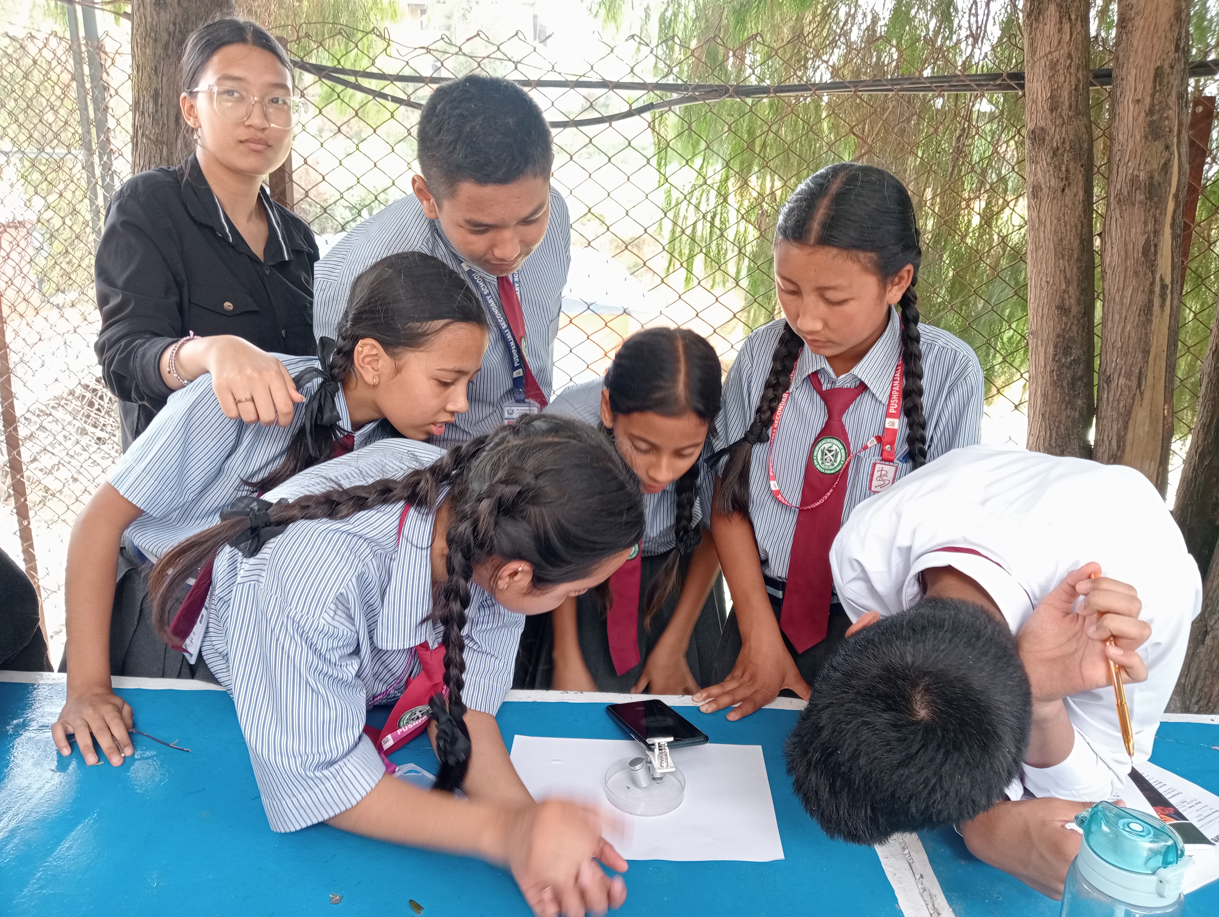 Group of students identifying mosquito larvae on phone.