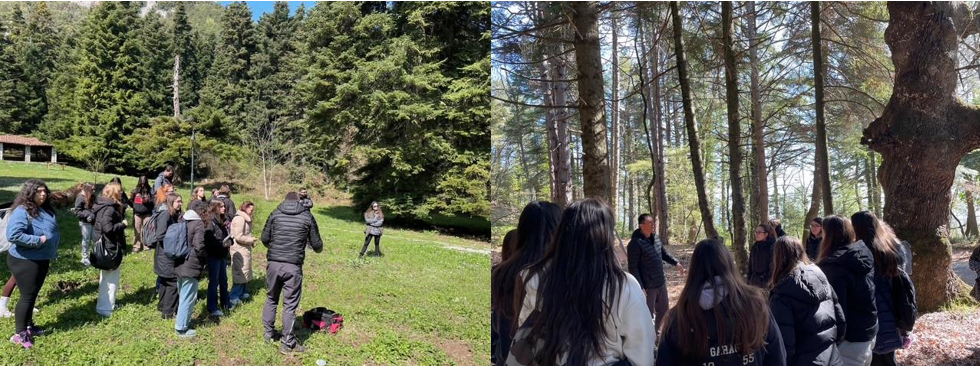 A group of people surrounded by trees outside.