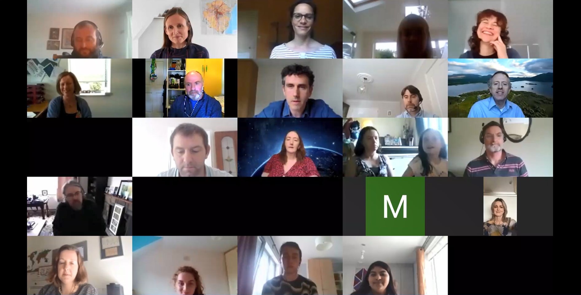 Screenshot of online meeting