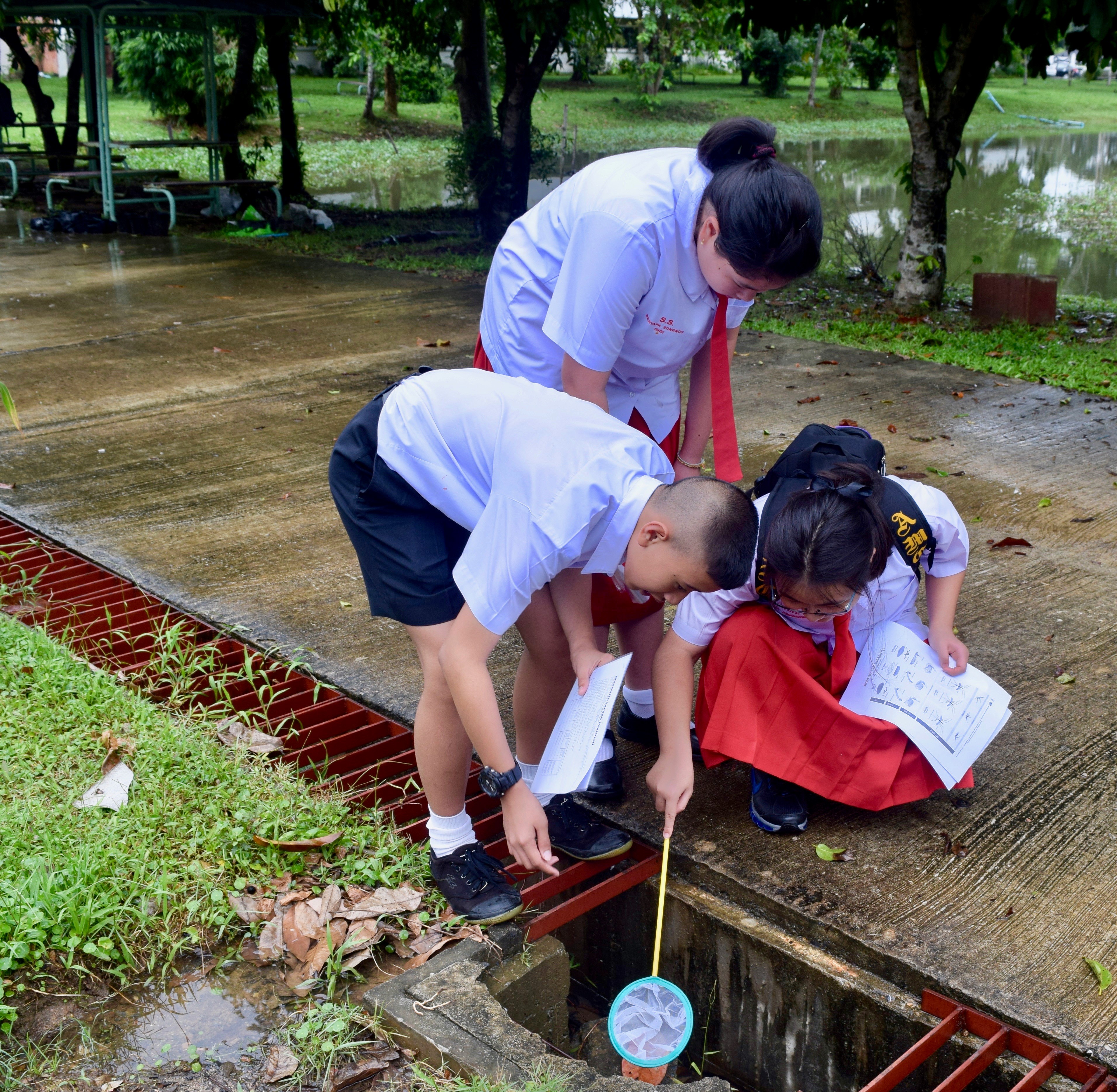 Photo of GLOBE students at work