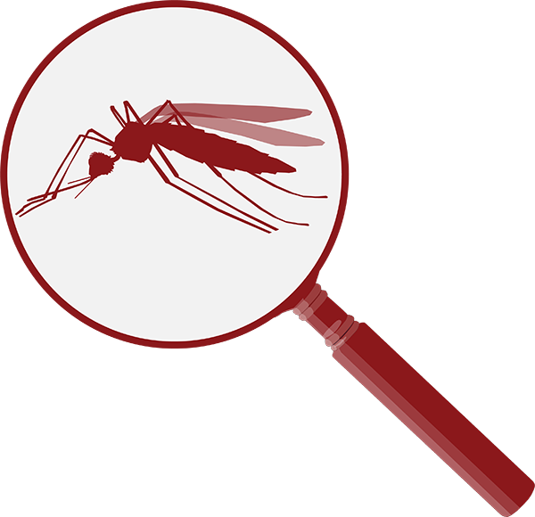 Graphic of a mosquito