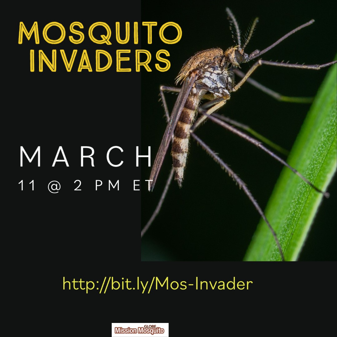 GLOBE Mission Mosquito's 11 March webinar shareable