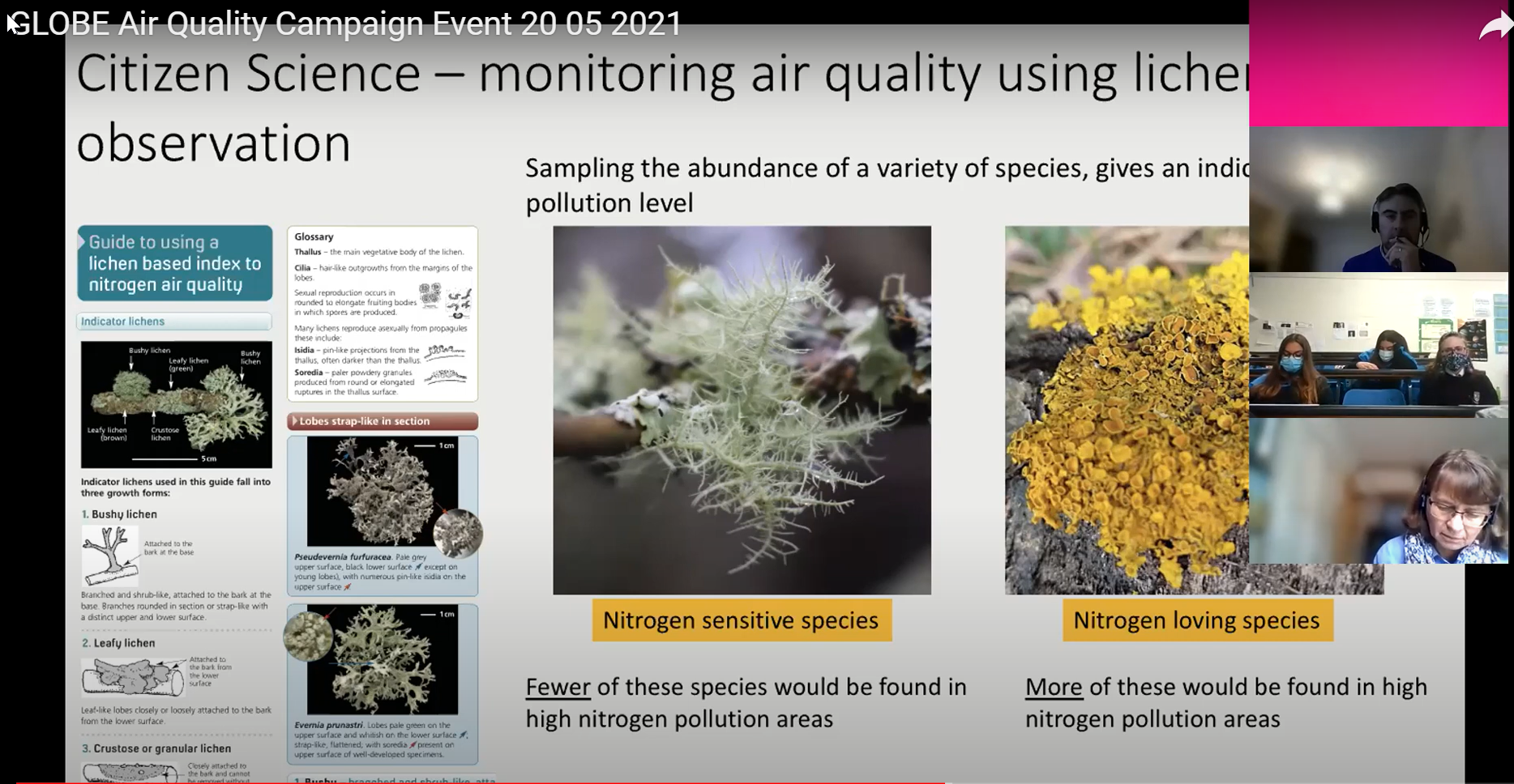 A screenshot from the online event showing the citizen science data
