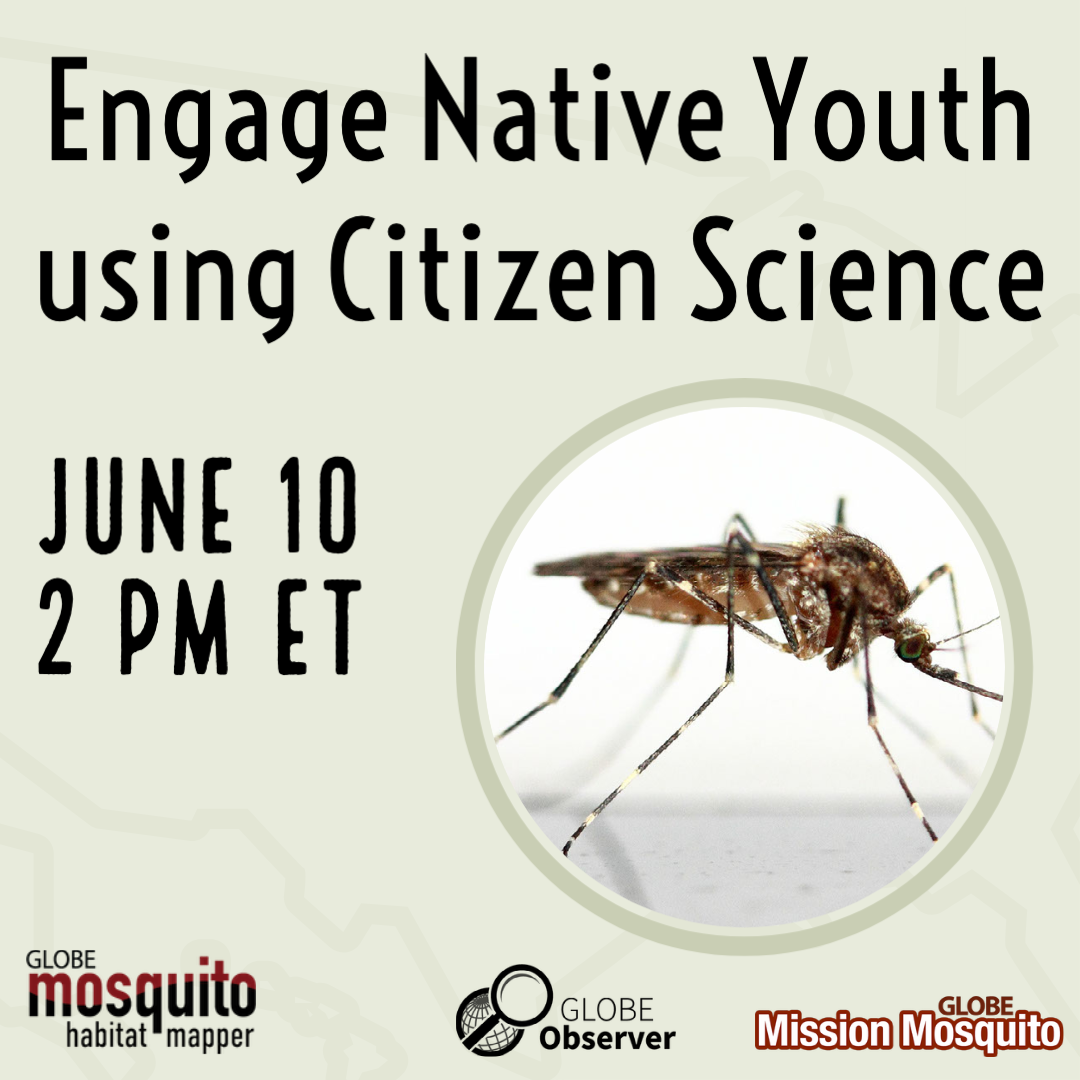 GLOBE Mission Mosquito 10 June Webinar shareable