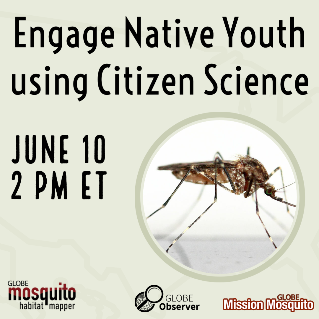 GLOBE Mission Mosquito 10 June webinar shareable