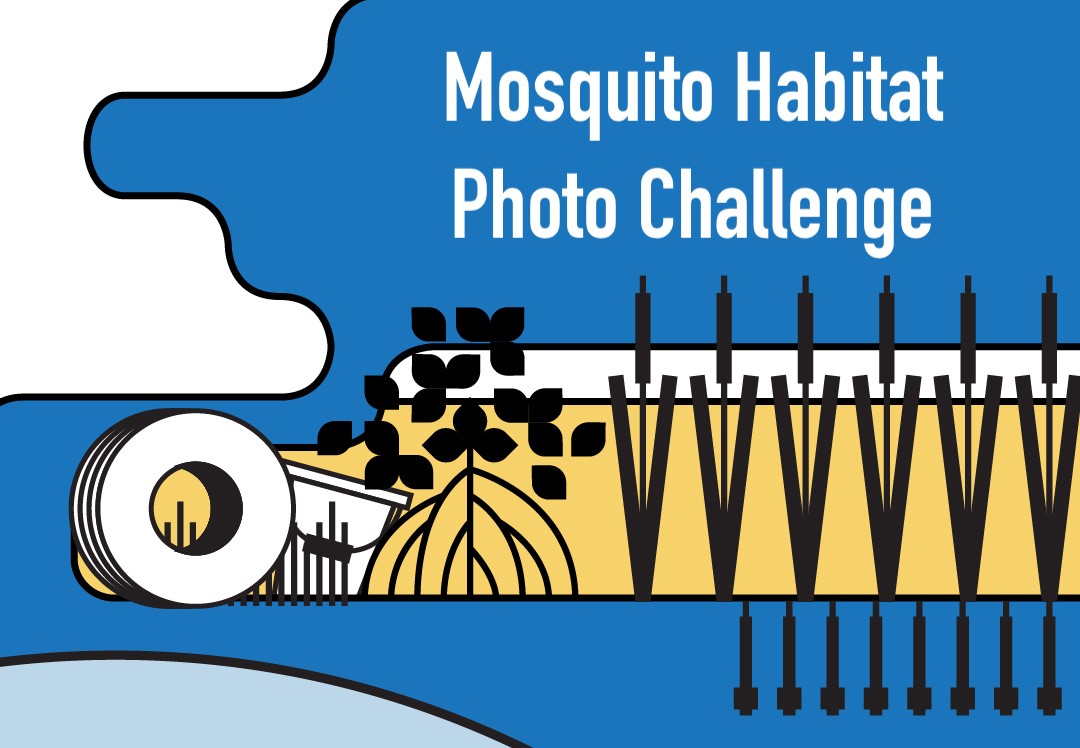Mosquito Habitat Photo Contest shareable, with a roll of film drawn in the background.