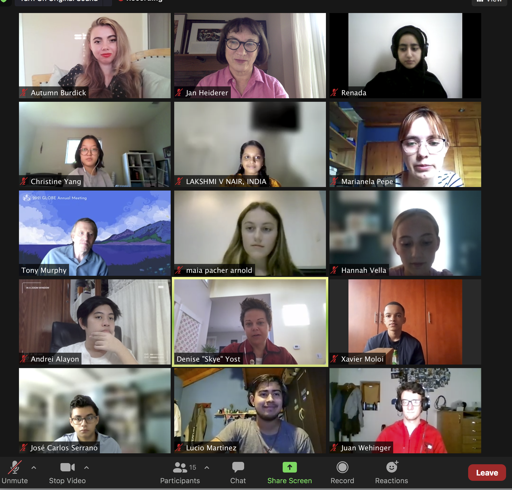 Photo of the GLOBE Student Vloggers during a virtual meeting