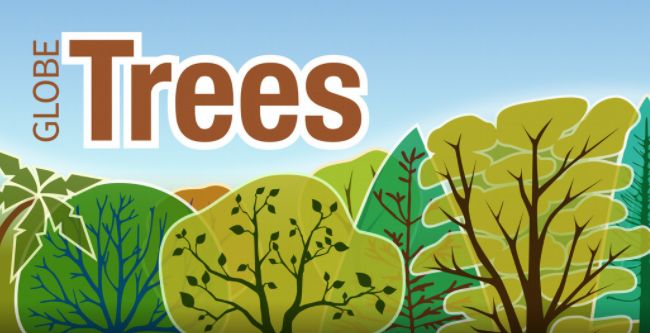 The GLOBE Program's App, GLOBE Observer: Trees graphic showing trees