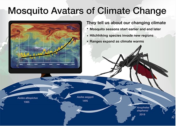 A sharable graphic showing a mosquito and a computer screen displaying an upward trend. Image Credit: Jenn Glaser, ScribeArts