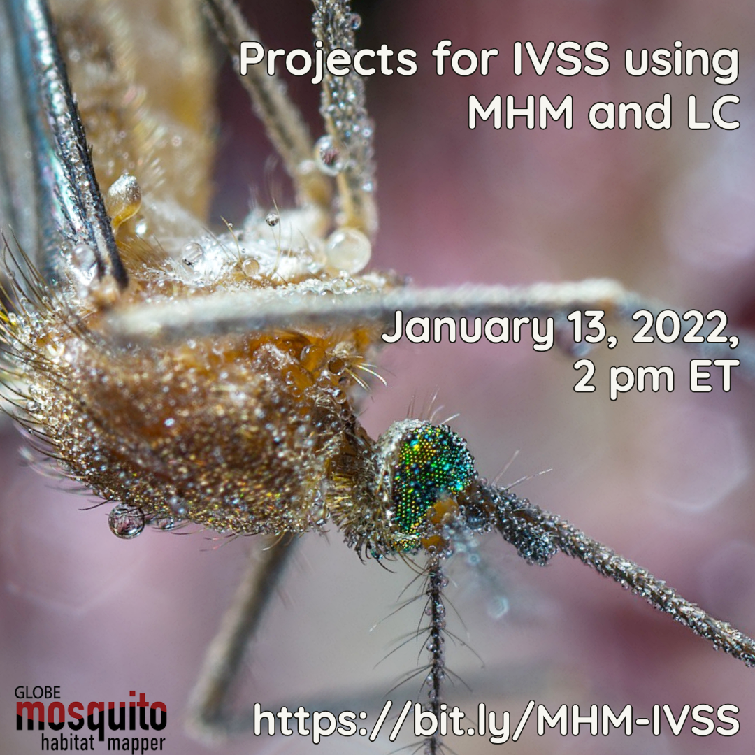 GMM 13 January 2022 webinar shareable, showing a mosquito and displaying the time and date for the webinar