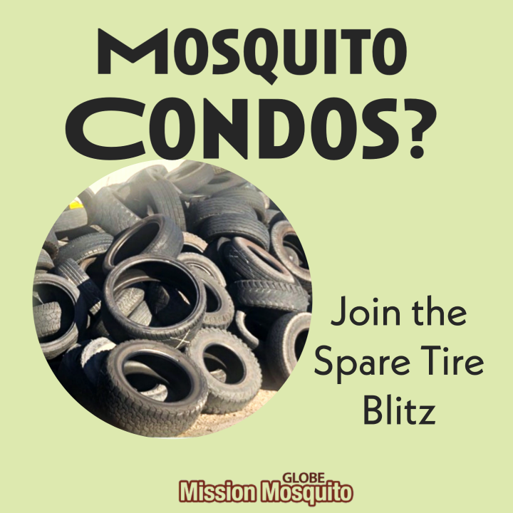 GLOBE Mission Mosquito 10 March webinar shareable, showing a pile of discarded tires