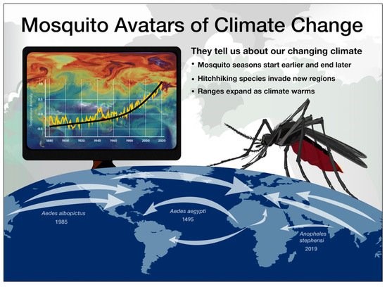 Infographic used by GLOBE Mosquito Habitat Mapper science outreach team in public climate change education. Image credit: Jenn Paul Glaser and Russanne Low.