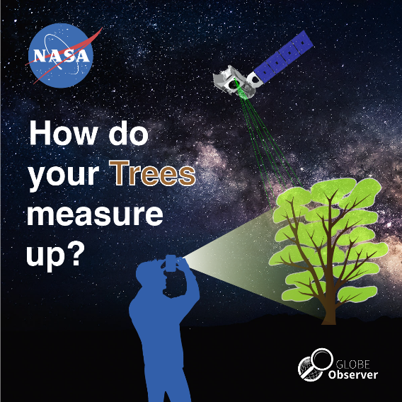 A shareable for the upcoming data challenge, that reads "How do your tees measure up?"