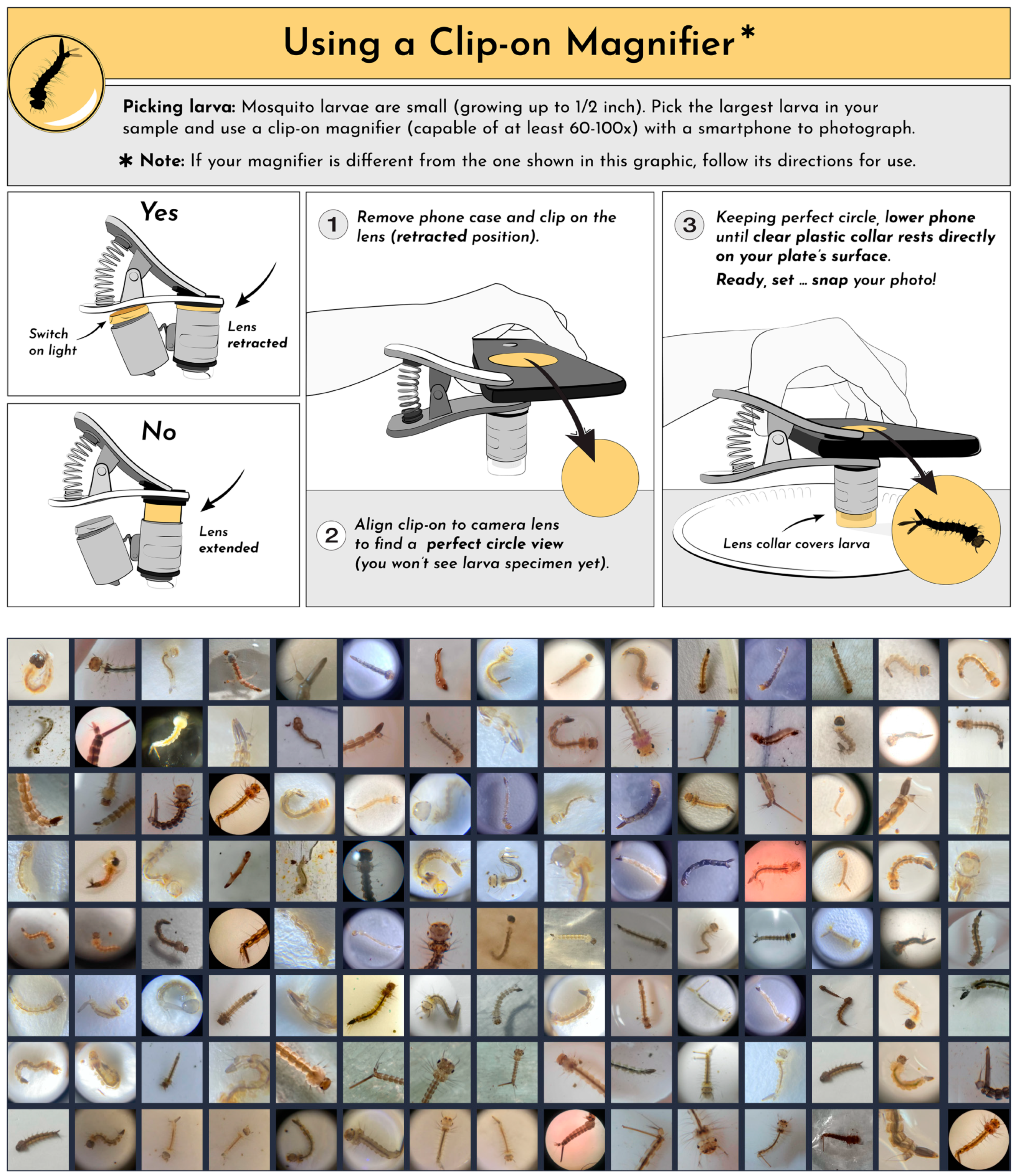 Images from The GLOBE Program’s app, Mosquito Habitat Mapper’s 2021 Mosquito Habitat Photo Challenge.