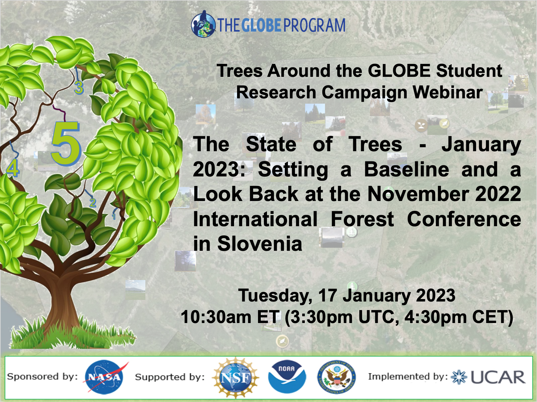 Trees Around the GLOBE 17 January 2023 webinar shareable, showing the time and date and title of the event