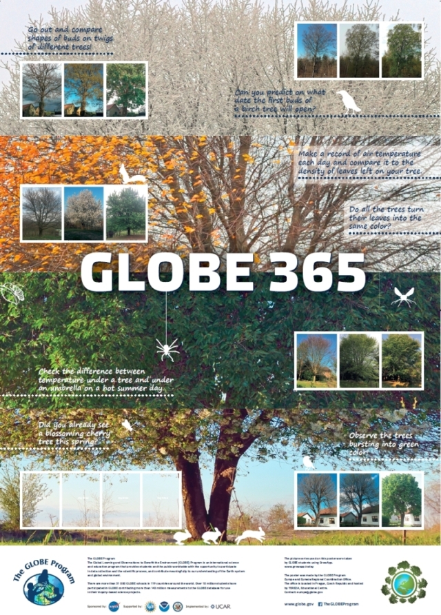 A tree with green leaves in the GLOBE 365 poster.