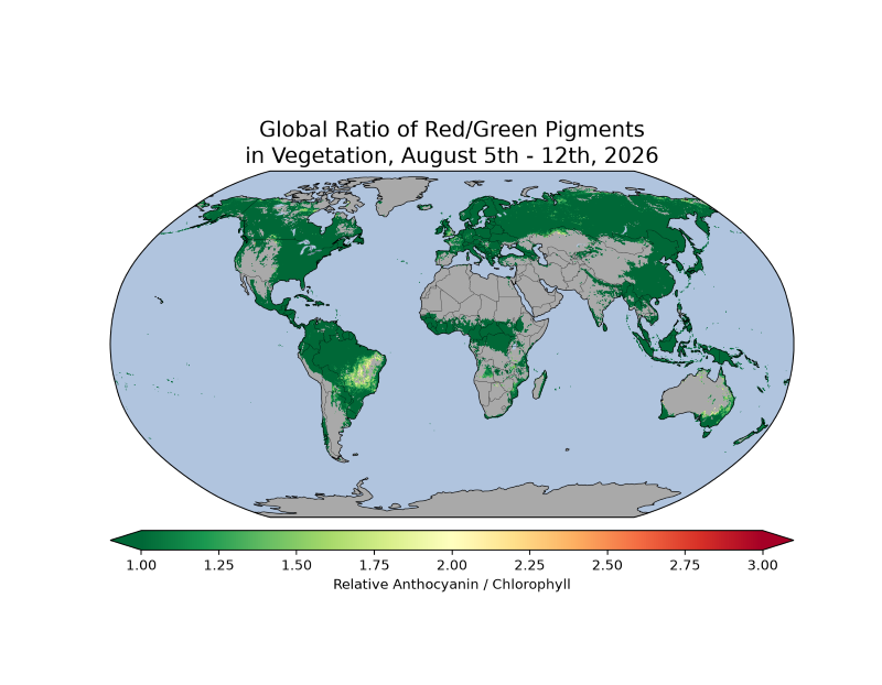 map of the globe showing Global ratio of red/green pigments in vegetation, August 5th-12th, 2026. Many regions are showing predominantly green colors with some yellows (indicating increased anthocyanin pigments) appearing in Brazil.