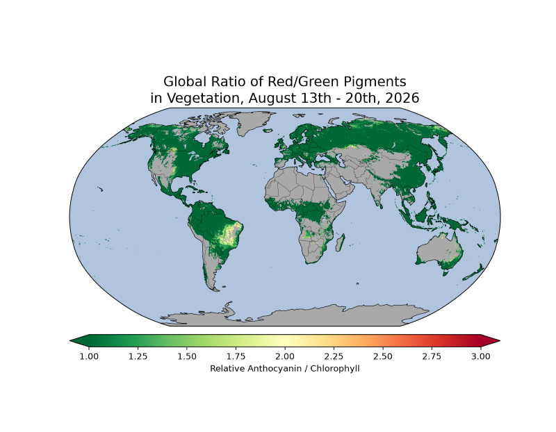 map of the globe showing Global ratio of red/green pigments in vegetation, August 13th-20th, 2026. Many regions are showing predominantly green colors with some yellows (indicating increased anthocyanin pigments) appearing in Brazil, northern Canada and Russia.