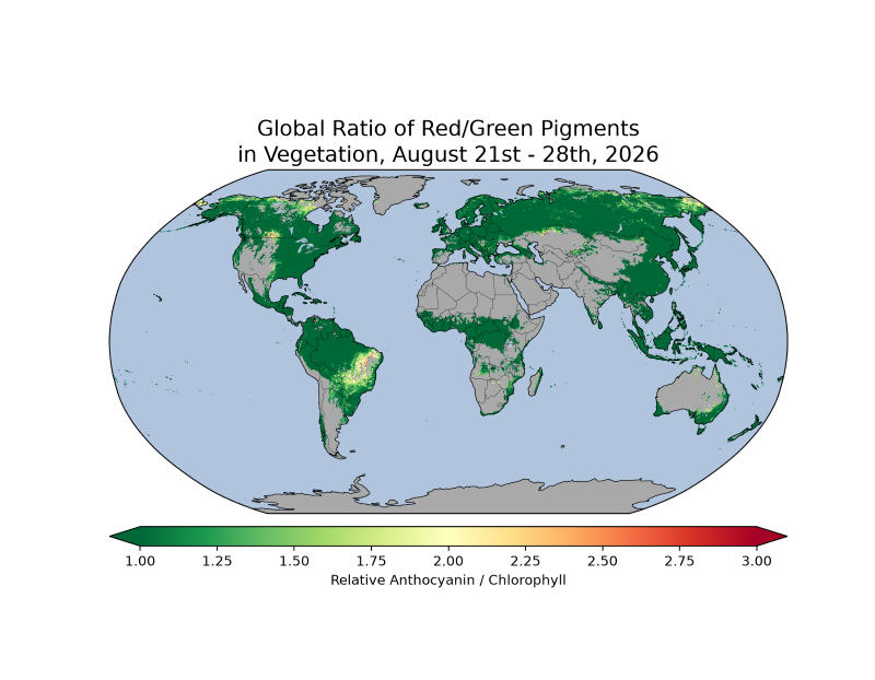 map of the globe showing Global ratio of red/green pigments in vegetation, August 21st-28th, 2026. Many regions are showing predominantly green colors with some yellows (indicating increased anthocyanin pigments) appearing in Brazil, northern Canada and Russia.
