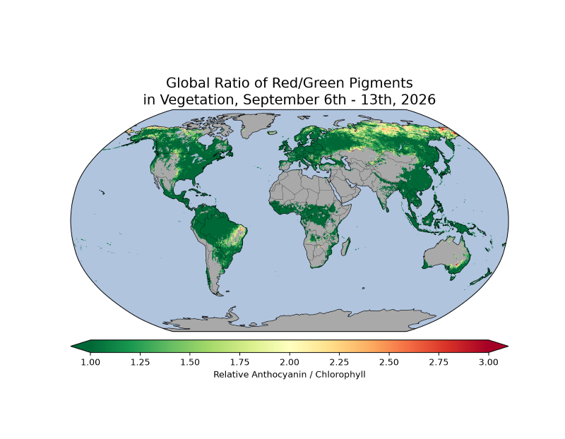 map of the globe showing Global ratio of red/green pigments in vegetation, September 6th-13th, 2026. Many regions are showing predominantly green colors with some yellows and reds (indicating increased anthocyanin pigments) appearing in Brazil, Australia, northern Canada and Russia.