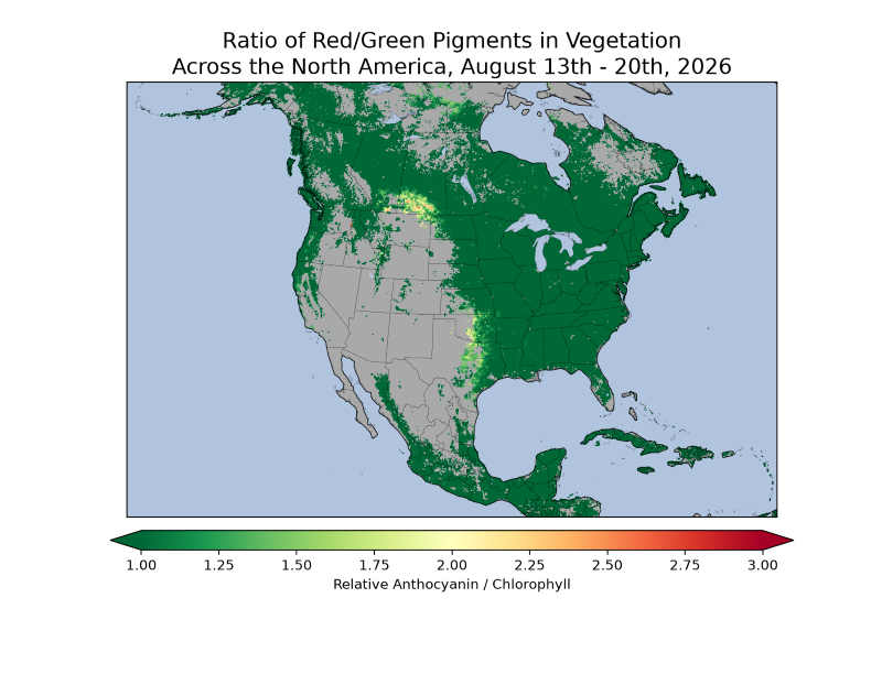 map of North America showing Ratio of red/green pigments in vegetation across North America, August 13th-20th, 2026. The eastern half of North America, as well as parts of western Canada, the coastal Northwest U.S., and Alaska, appear green. Some yellows (showing increased anthocyanin pigment) are shown in small areas of southern and central Canada as well as Oklahoma and Texas.
