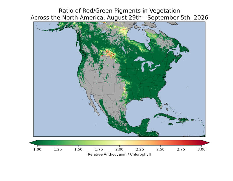 map of North America showing Ratio of red/green pigments in vegetation across North America, August 29th-September 5th, 2026. The eastern half of North America, as well as parts of western Canada, the coastal Northwest U.S., and Alaska, appear green. Some yellows and reds (showing increased anthocyanin pigment) are shown in small areas of southern and central Canada as well as Oklahoma and Texas.