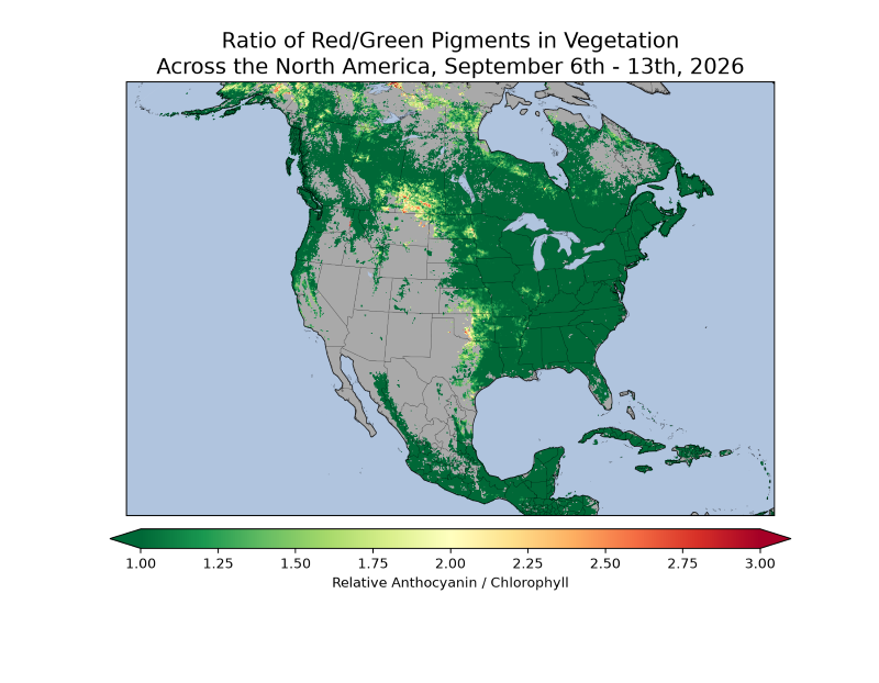 map of North America showing Ratio of red/green pigments in vegetation across North America, September 6th-13th, 2026. The eastern half of North America, as well as parts of western Canada, the coastal Northwest U.S., and Alaska, appear green. Some yellows and reds (showing increased anthocyanin pigment) are shown in areas of Alaska, southern and central Canada, Oklahoma and Texas.