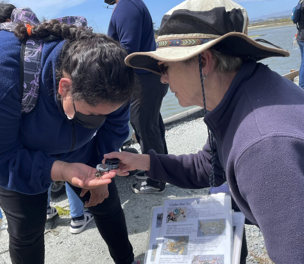 GLOBE Partner Peggy Foletta helps a student identify a crab
