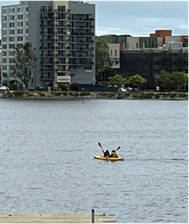 Interns collect hydrosphere data from Lake Merritt, Oakland, CA