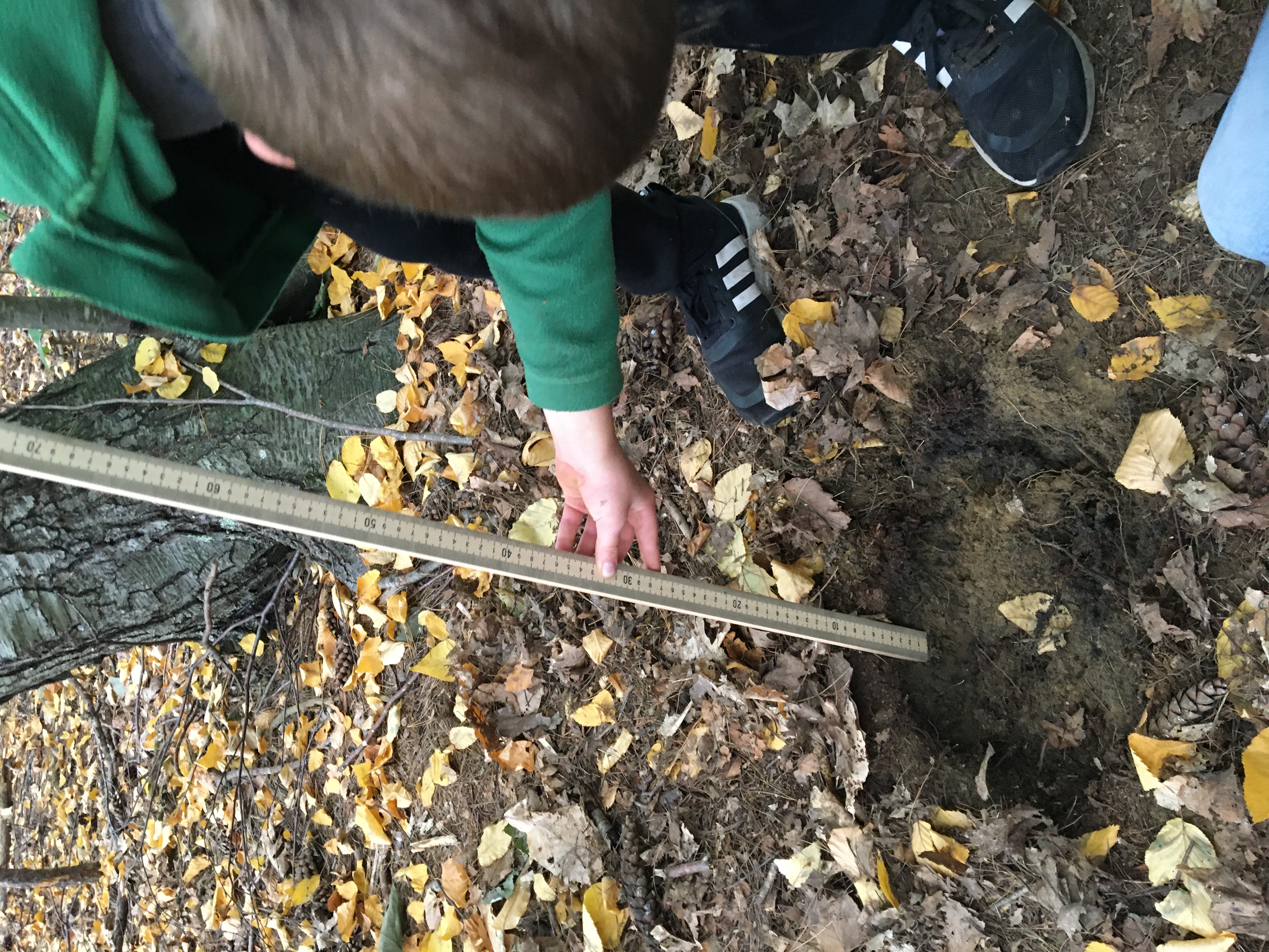 Student measures soil depth
