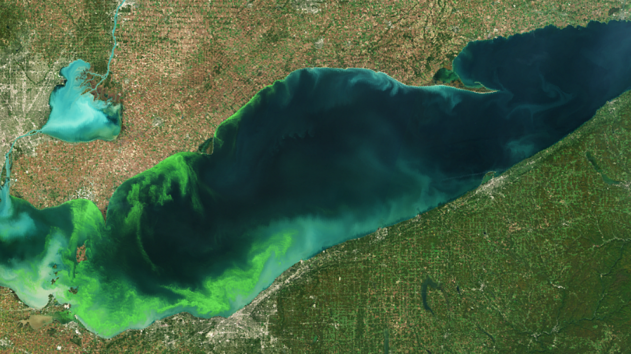 A European Space Agency (ESA) Envisat satellite.image taken on Oct. 8, 2011, using its MERIS sensor, showing harmful algal bloom in the western basin of Lake Erie. (ESA)