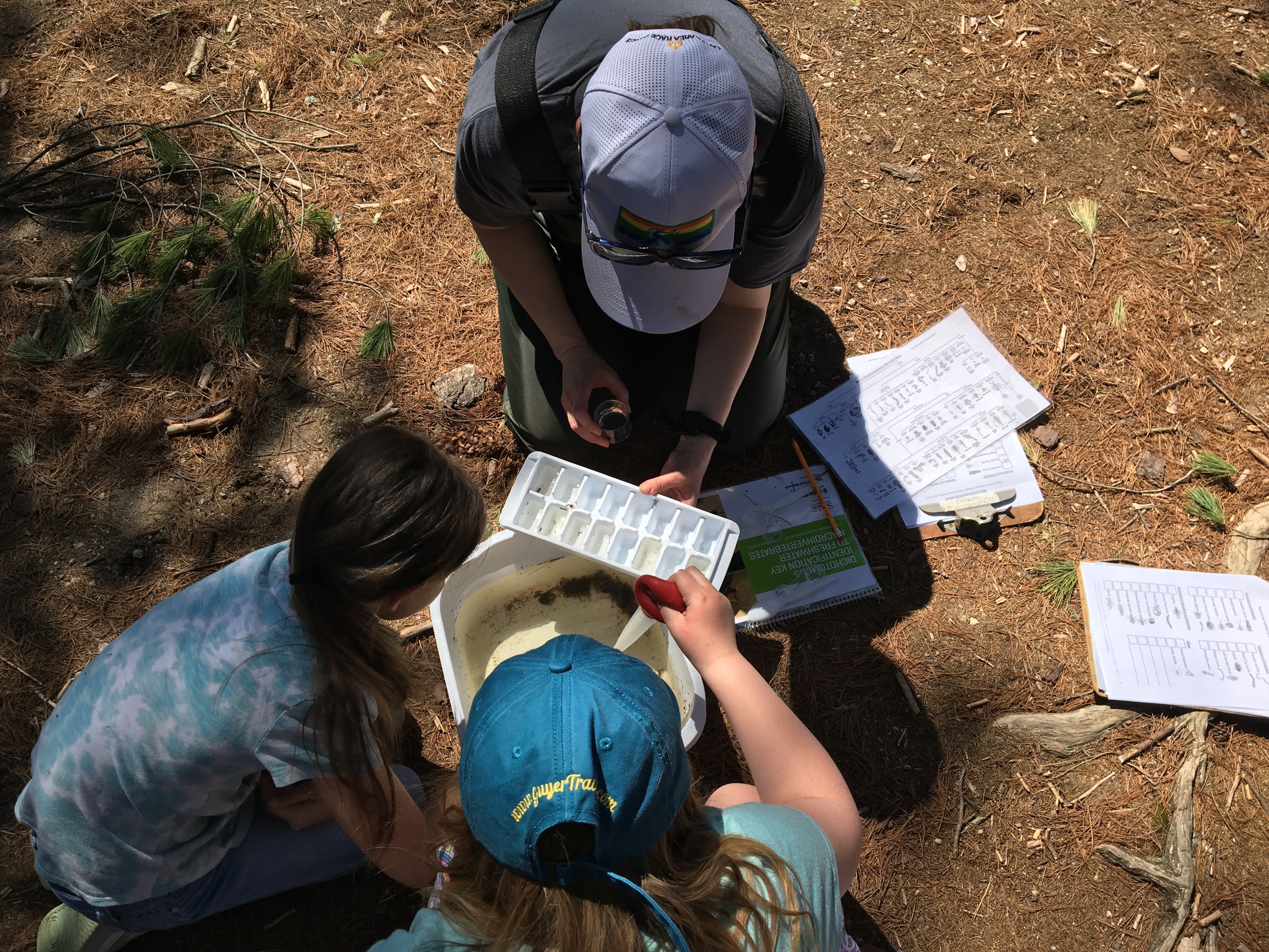 students sort and count macroinvertebrates