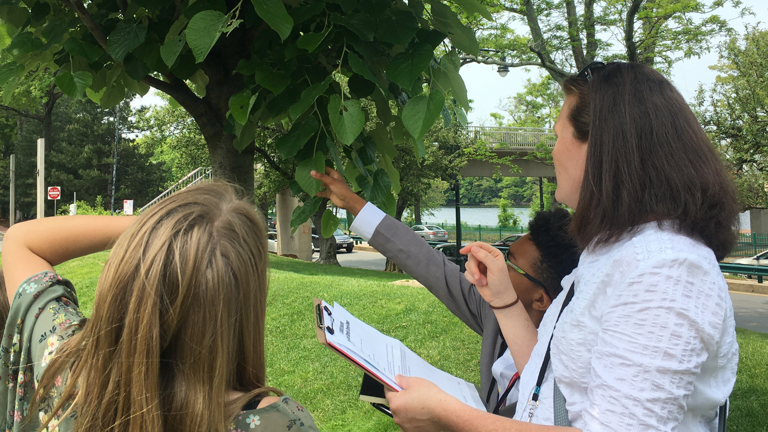 students and teacher look at leaves on a tree