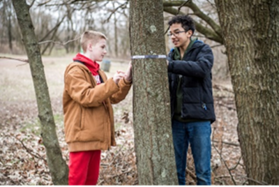 Students standing by a tree with a measuring tape wrapped around it.