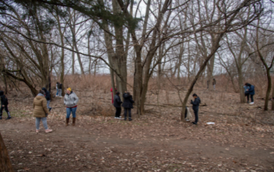 Students stand in groups among trees while taking maeasurements.