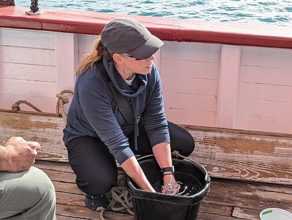 Tori Brannan with her hands in a bucket while demonstrating hydrosphere protocols
