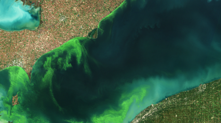 A European Space Agency (ESA) Envisat satellite image taken on Oct. 8, 2011, using its MERIS sensor, showing harmful algal bloom in the western basin of Lake Erie. (ESA)