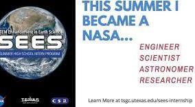 NASA SEES Internship logo
