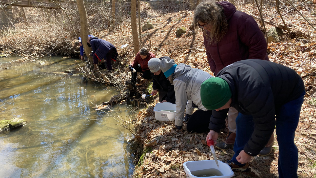 adults crouch on a stream bank looking into tubs of water for macroinvertebrates