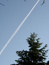 Compact Persistent Contrail