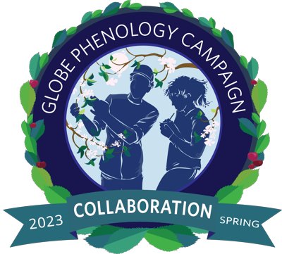 Image of the Collaboration badge for the GLOBE Phenology campaign.