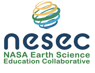 NESEC Logo