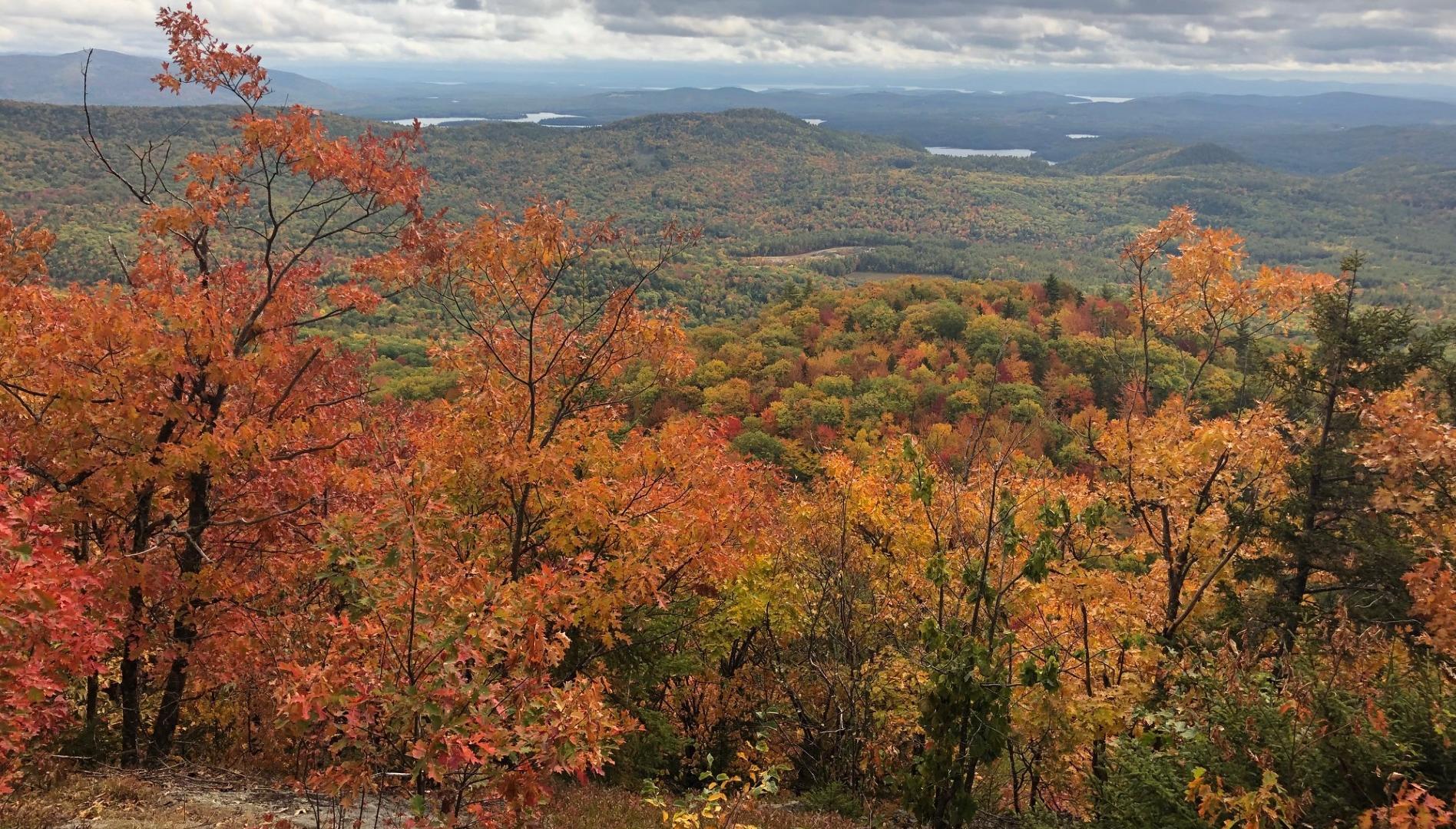 A landscape of forested hills showing autumn color changes from green to reds and oranges.