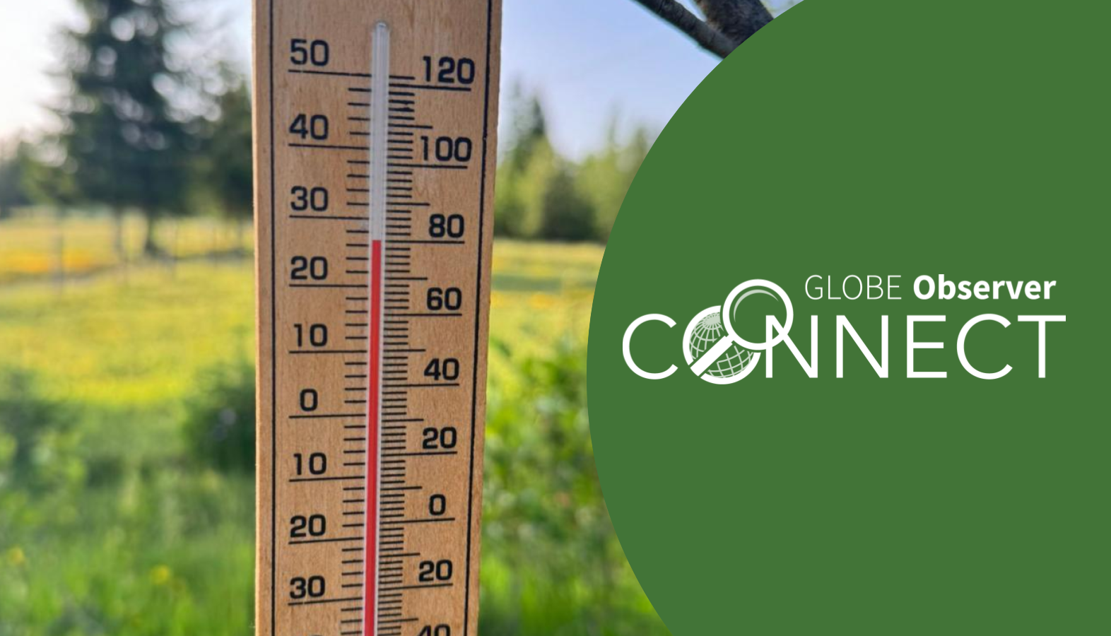 A thermometer hangs from a tree branch in a grassy field. The text GLOBE Observer Connect is on top of the image.