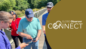 A group of people stand on a wood walkway looking at a phone together. Words over the image read GLOBE Observer Connect.