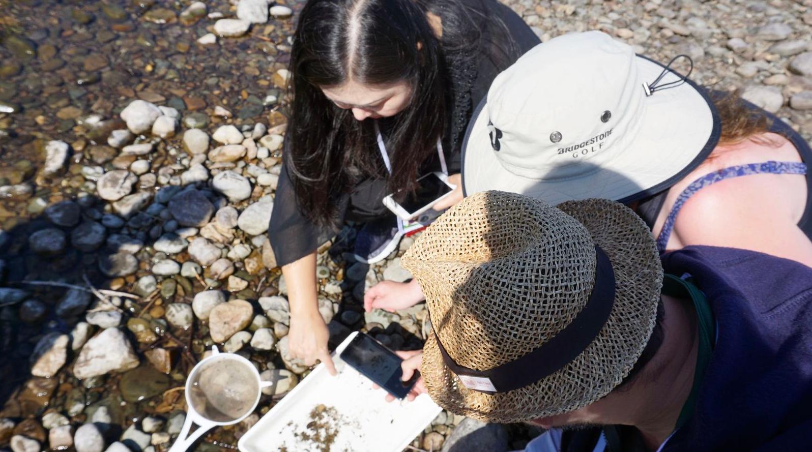 A group of three people kneel around a rectangular basin on the rocky bank of a waterbody. A small sampling net is next to the basin, and bits of dirt and rock and potentially other materials are visible in the basin. One person is photographing the sample in the basin with a cell phone.