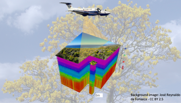 Over a background of a tree blooming yellow is an illustration of an imaging spectrometer aboard a research plane measures sunlight reflecting off California coastal scrub. In the data cube below, the top panel shows the true-color view of the area. Lower panels depict the spectral fingerprint for every point in the image, capturing the visible range of light (blue, green, and red wavelengths) to the near-infrared (NIR) and beyond. Spatial resolution is around 16 feet (5 meters).