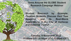 Tree image denoting year five of the campaign, and the title of the webinar.