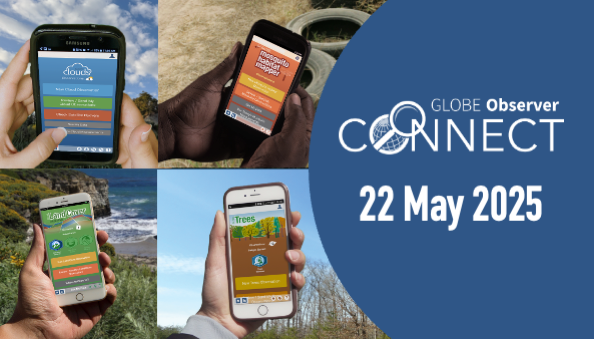 Hands holding phones with each of the landing screens for Clouds, Mosquito Habitat Mapper, Land Cover and Trees in front of backgrounds representing the data collected by each of the four tools. Text says GLOBE Observer Connect, 22 May 2025